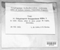 Image Associated With the Occurence